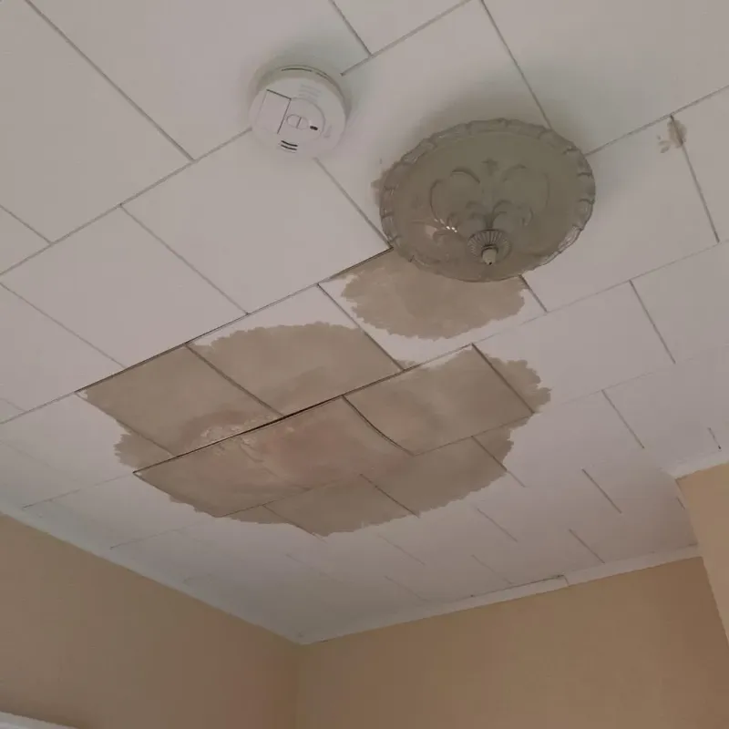 Ceiling Water Damage Repair in Stevenson, AL