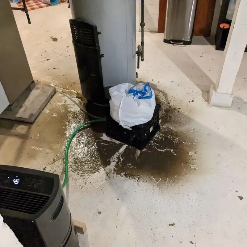 Sewage Backup Cleanup Service in Stevenson, AL